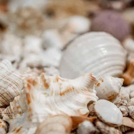 Tatil Evi Oasis Pefkali