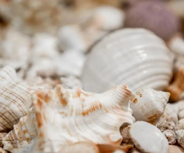 펜션 Oasis Pefkali